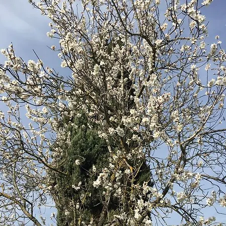 Il Padule Apartamento *