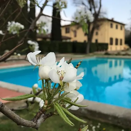 Apartment Il Padule