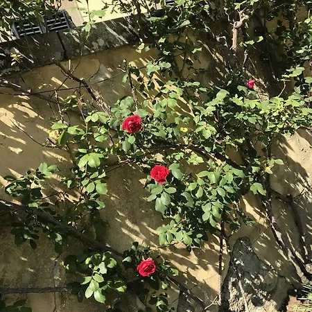 Il Padule * Bagno a Ripoli