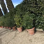 Il Padule شقة *