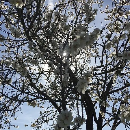 Il Padule